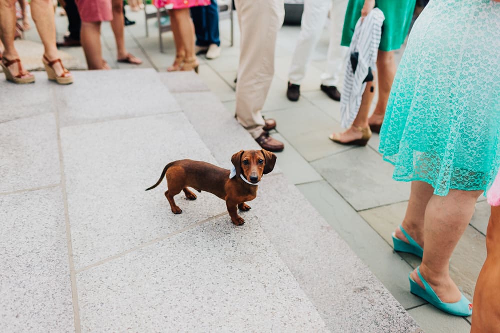 New England Engagement Party Photography