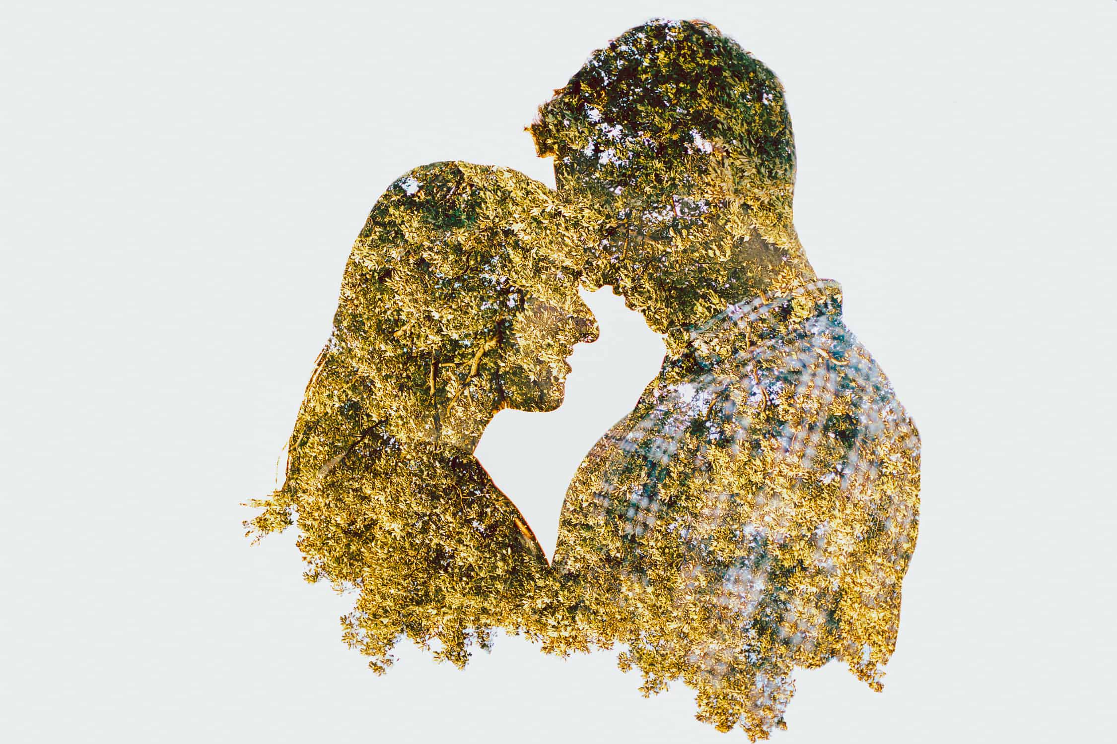 Larz Anderson Engagement