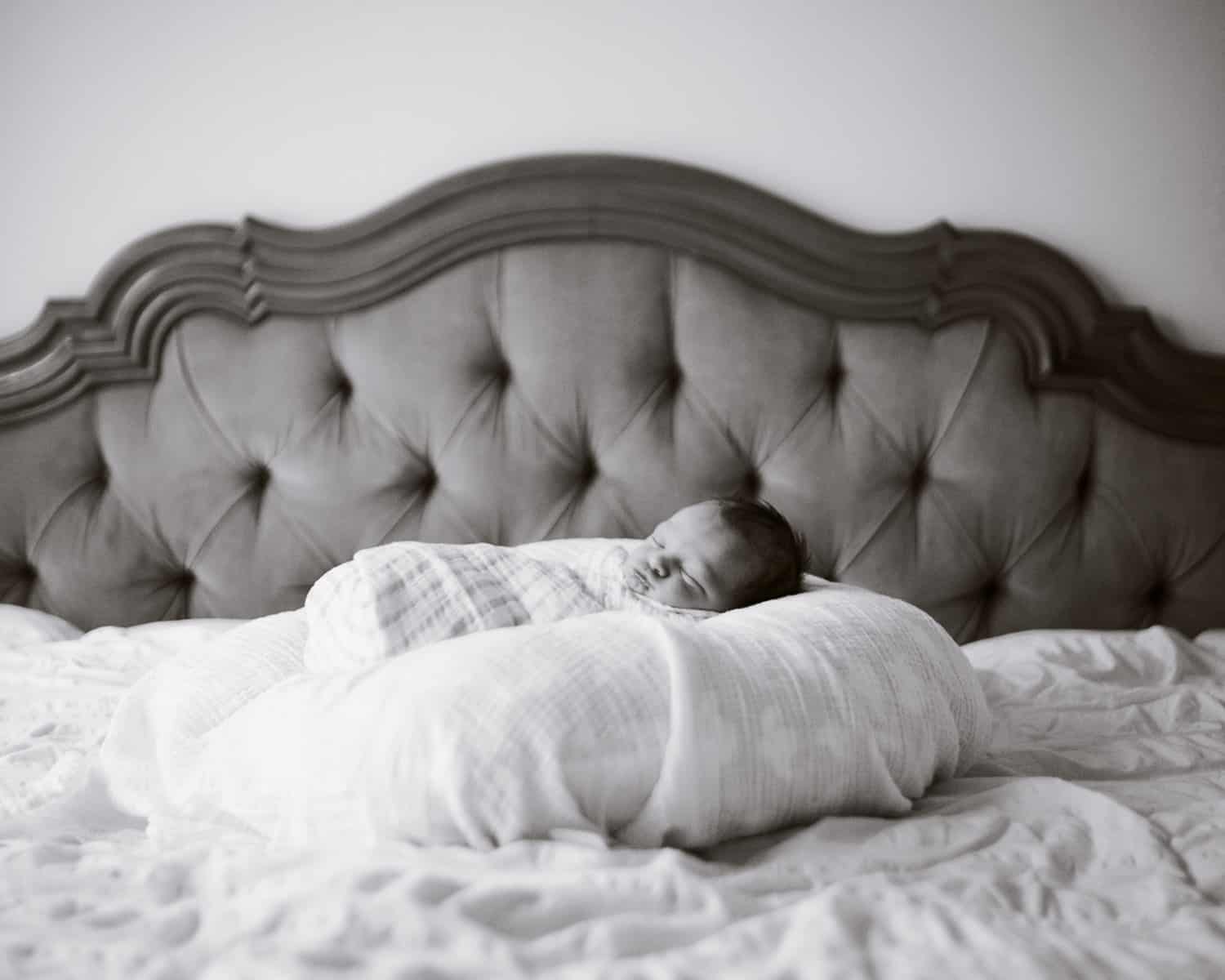 Boston South End Newborn Photography