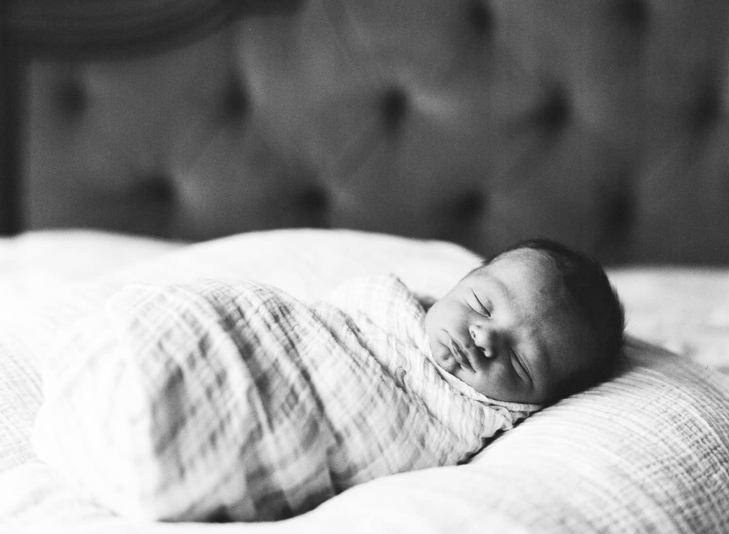 Boston South End Newborn Photography
