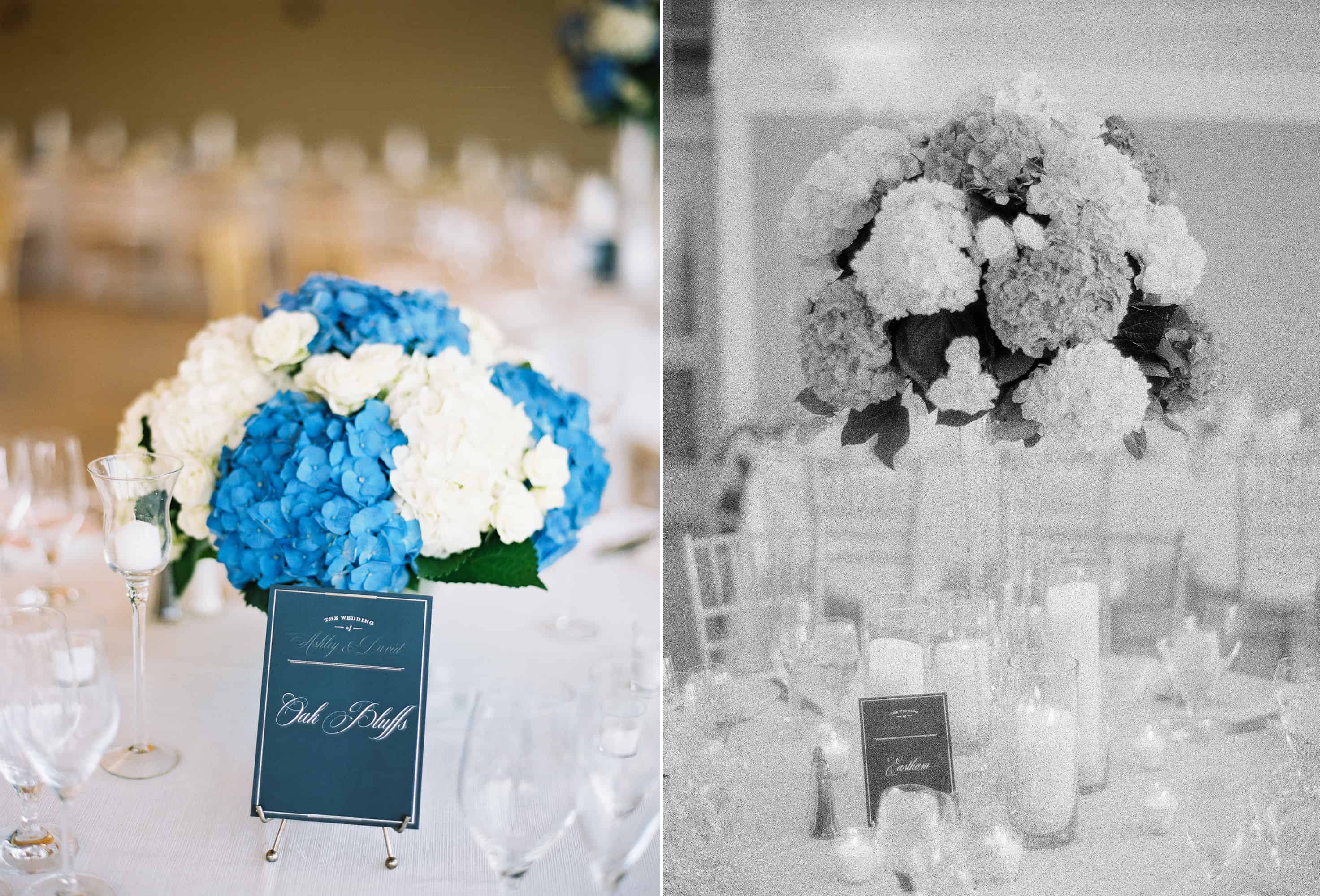 Wequassett Resort and Golf Club Wedding Photography